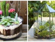 imagen 18 jardines en miniatura para decorar tu hogar